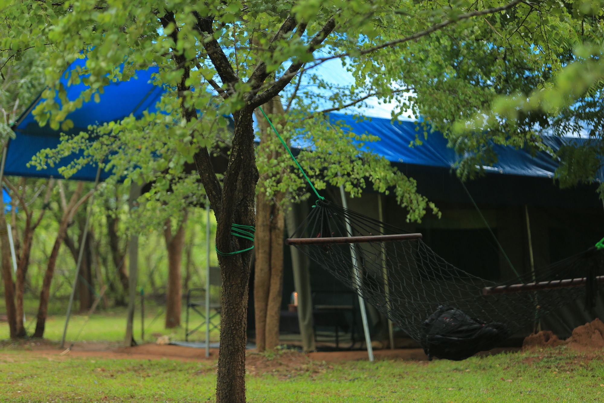 Big Game Udawalawe - By Eco Team Hotel Exterior photo